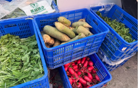 南京社会工作视角下初级农产品的可持续发展路径探析