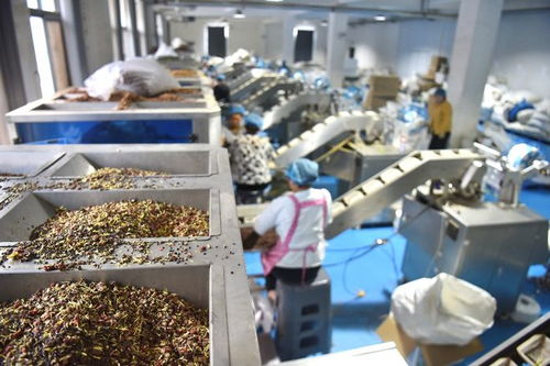 拼多多股价波动背后 为何下血本投入高质量发展初级农产品